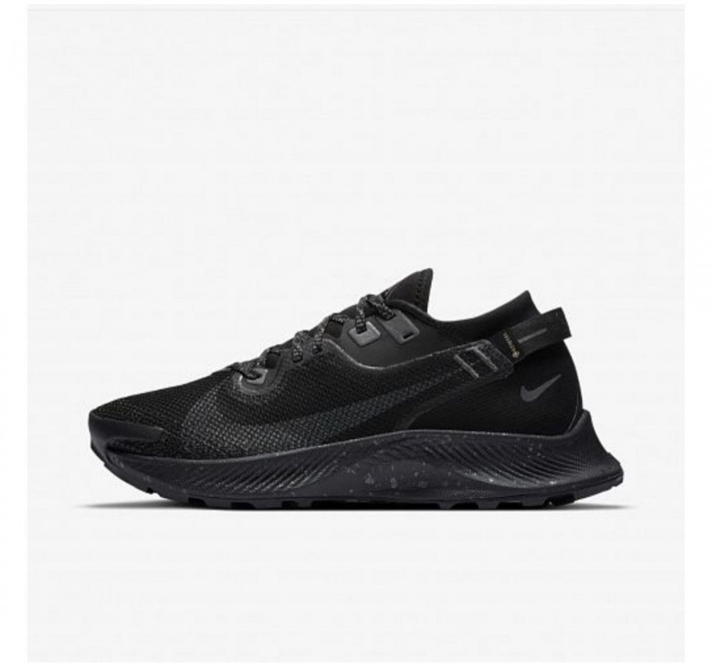 Кросівки NIKE W PEGASUS TRAIL 2 GTX CU2018-001_image_2