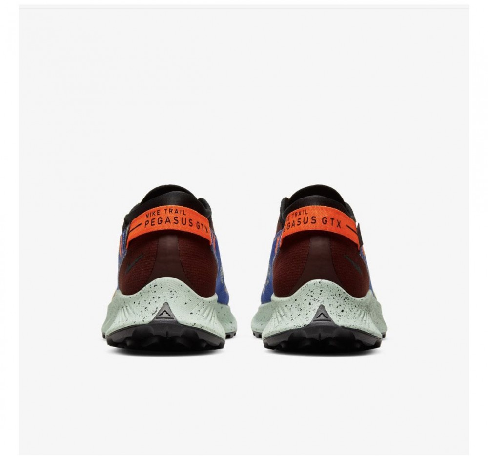  Кросівки NIKE W PEGASUS TRAIL 2 GTX CU2018-600_image_5