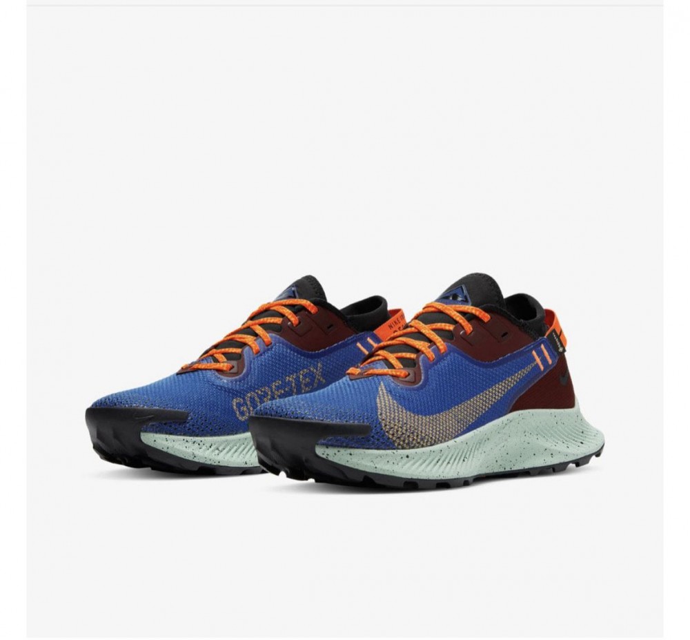  Кросівки NIKE W PEGASUS TRAIL 2 GTX CU2018-600_image_6