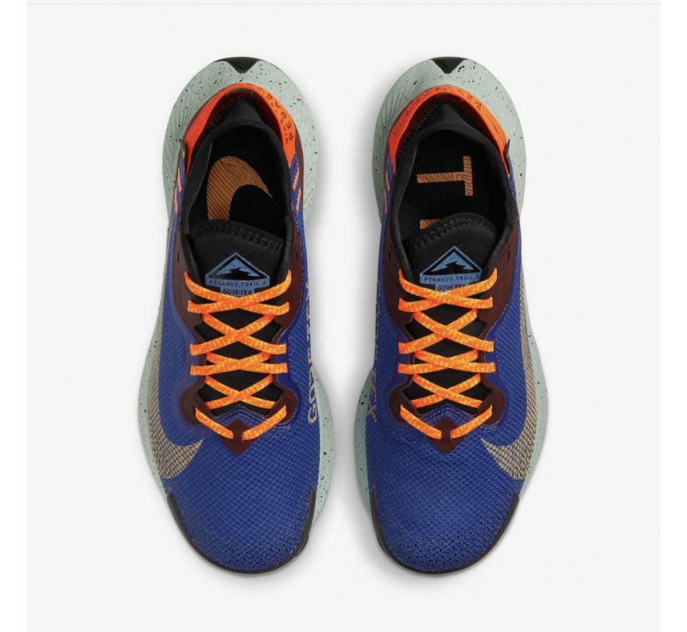  Кросівки NIKE W PEGASUS TRAIL 2 GTX CU2018-600_image_4