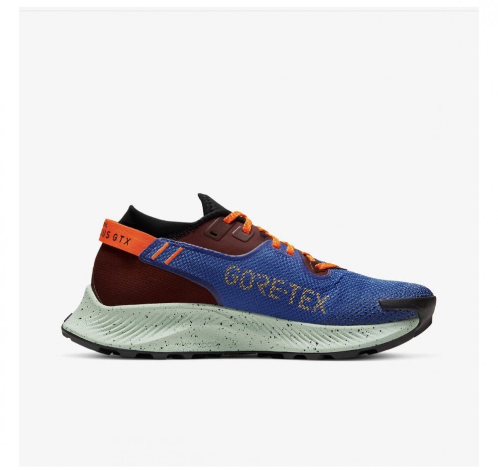  Кросівки NIKE W PEGASUS TRAIL 2 GTX CU2018-600_image_1
