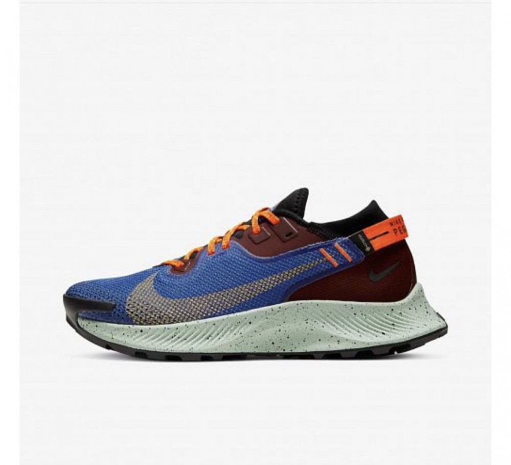  Кросівки NIKE W PEGASUS TRAIL 2 GTX CU2018-600_image_2
