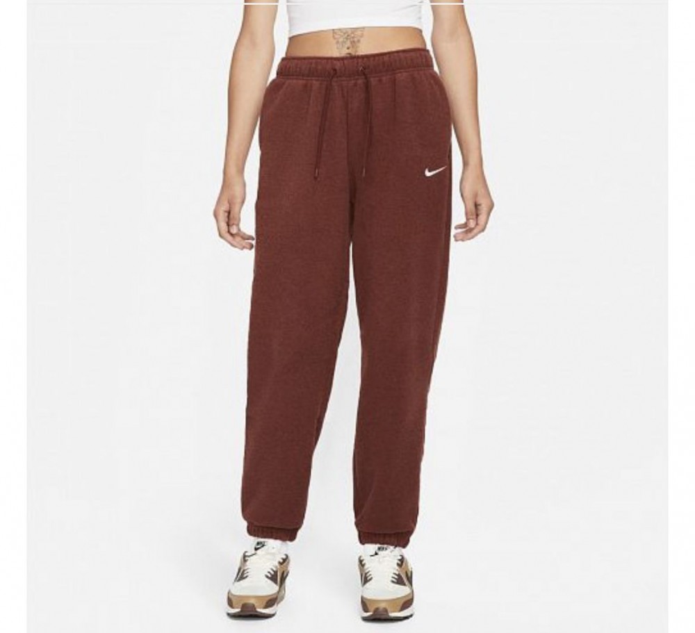 Брюки Nike Nsw Essntl Plsh Hr Jggr DD5110-273_image_1