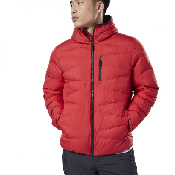 Мужской пуховик Reebok Outerwear Synthetic DX2420_image_1
