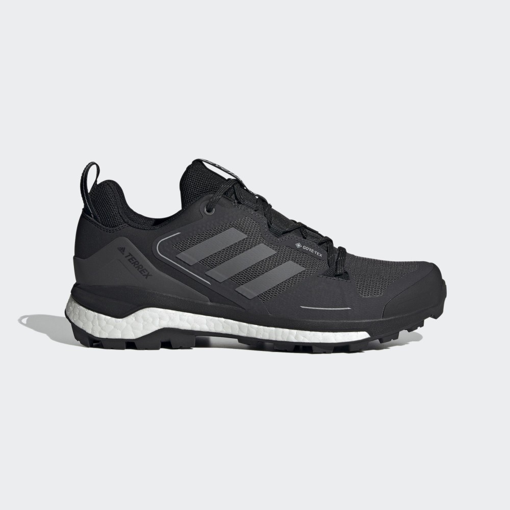 Кроссовки мужские adidas Terrex Skychaser 2 GTX Gore-Tex FX4547_image_1