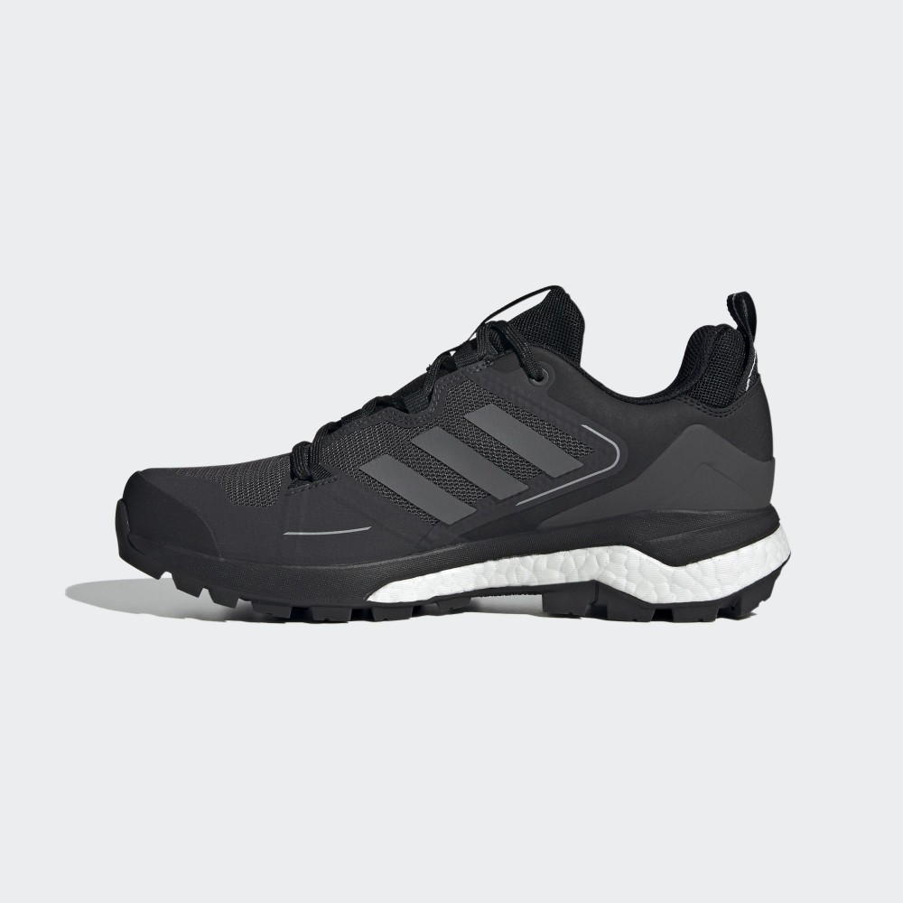 Кроссовки мужские adidas Terrex Skychaser 2 GTX Gore-Tex FX4547_image_2