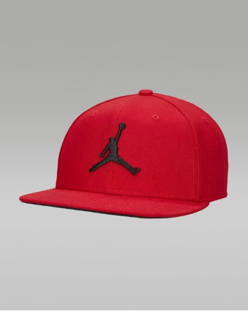 Кепка Jordan Pro FD5184-687_image_1