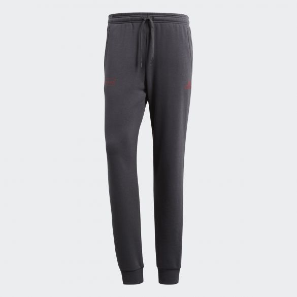 Мужские брюки Adidas Fcb Sgr Sw Pnt CF1772_image_1