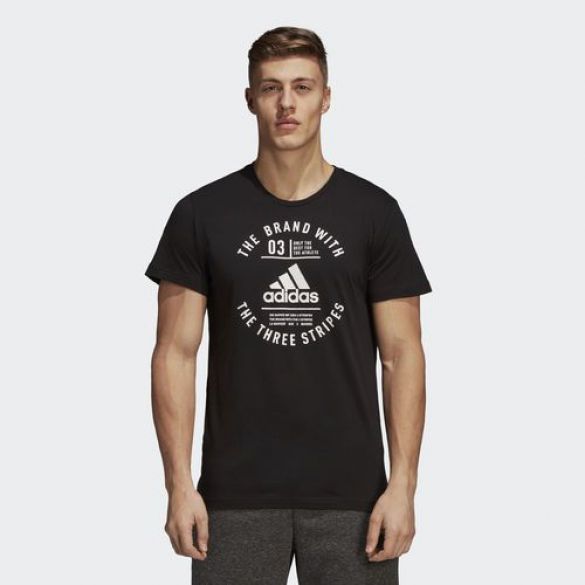 Чоловіча футболка Adidas Emblem DI0283_image_1