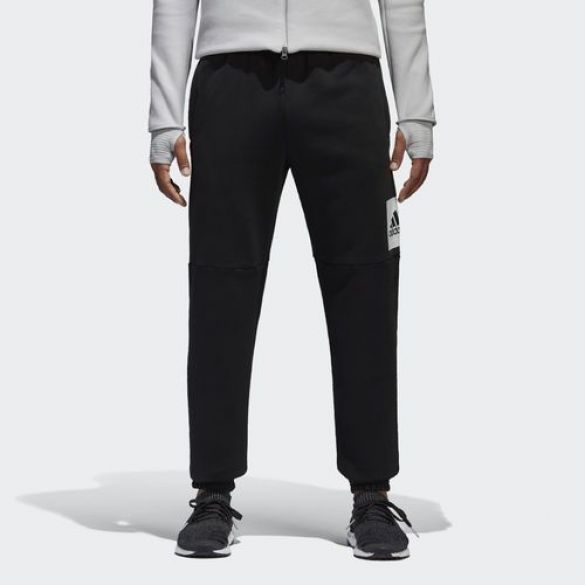 Чоловічі спортивні штани Adidas Ess Bl T Pnt Fl BP5440_image_1