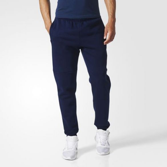 Мужские брюки Adidas Ess Bl T Pnt Fl BQ9565_image_1