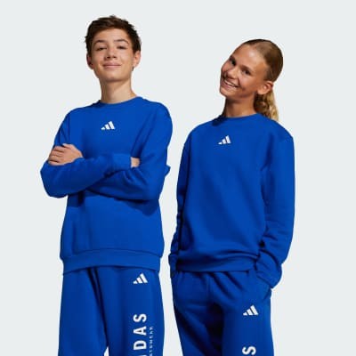 Світшот дитячий Adidas All SZN Graphic Crew Kids Sportswear JC7617_image_1