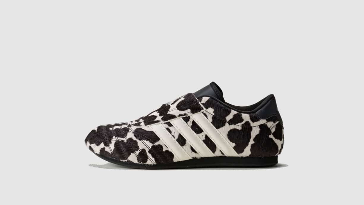 Жіночі кросівки Adidas Taekwondo W KK2705_image_1