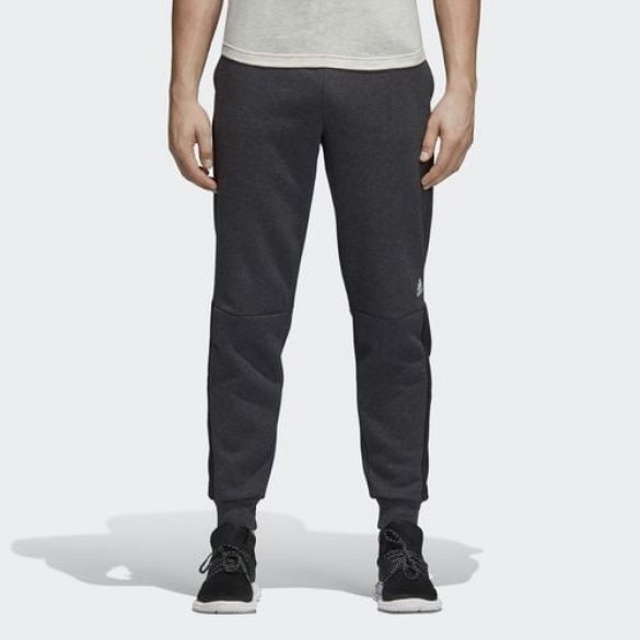 Мужские флисовые брюки Adidas M Sid Lgo Pt Fl DM4320_image_1