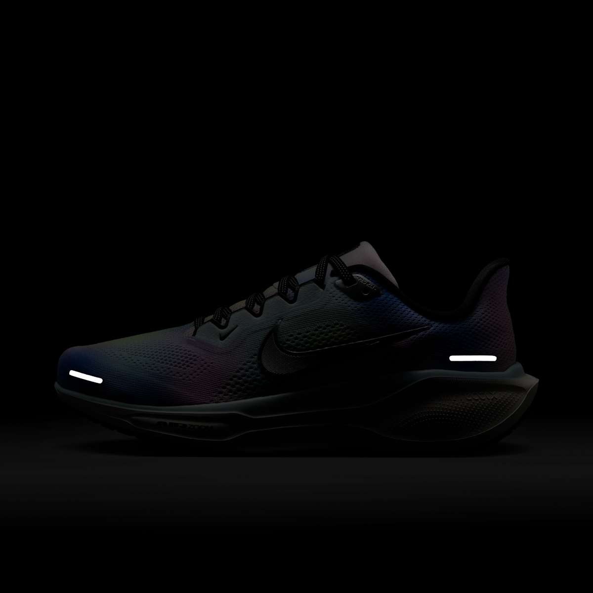 Кроссовки Nike Pegasus 41 SE HJ7816-400_image_10