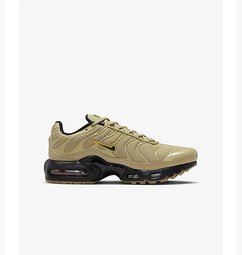 Дитячі кросівки Nike Air Max Plus Gs DZ6308-700_image_1
