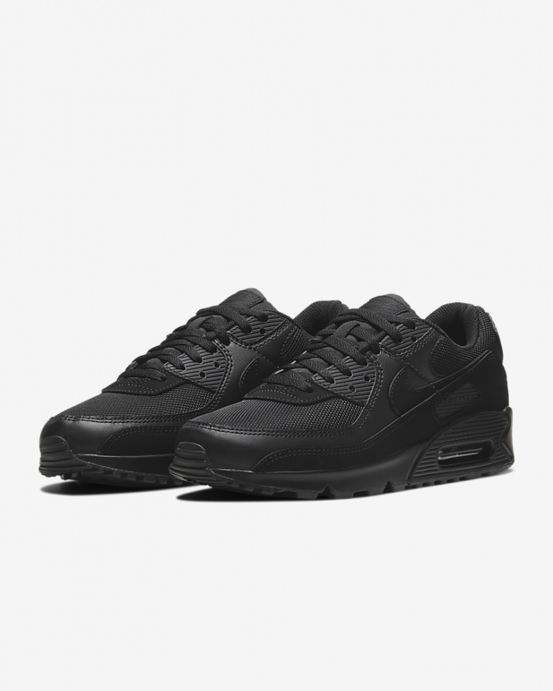 Кросівки NIKE AIR MAX 90 CN8490-003_image_6