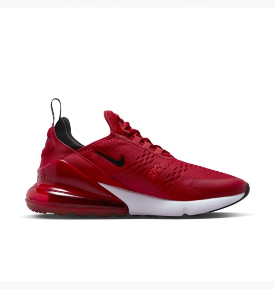 Кроссовки Nike Air Max 270 FN3412-600_image_1