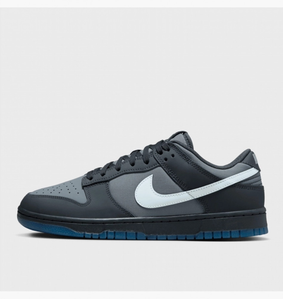 Кроссовки Nike Dunk Low Retro  FV0384-001_image_2