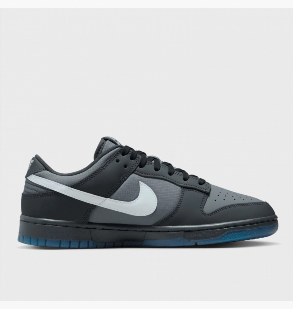 Кроссовки Nike Dunk Low Retro  FV0384-001_image_1