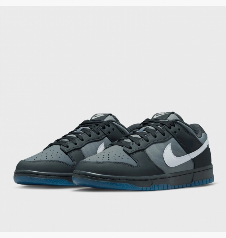 Кроссовки Nike Dunk Low Retro  FV0384-001_image_8