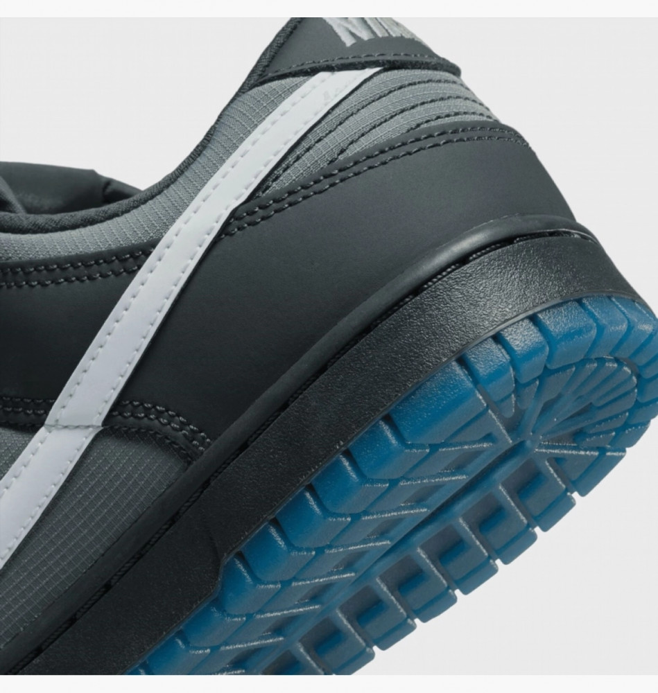 Кроссовки Nike Dunk Low Retro  FV0384-001_image_3