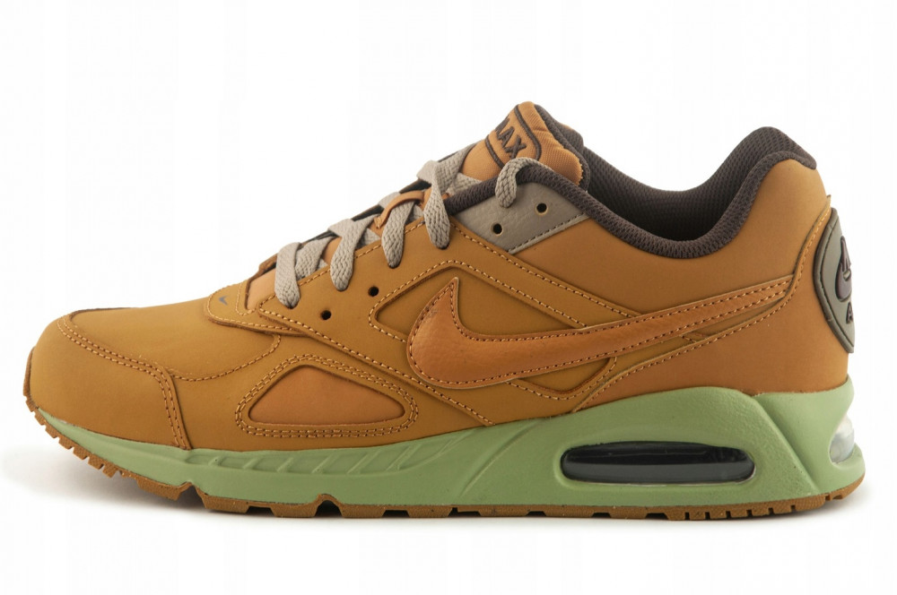 Кроссовки Nike Air Max Ivo CD1534-700_image_1