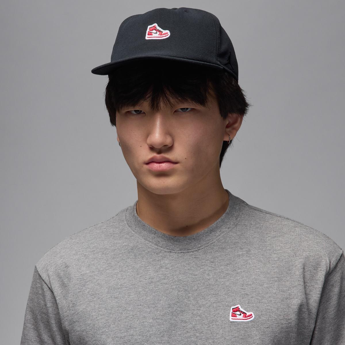 Кепка Jordan Pro HV1169-010_image_1