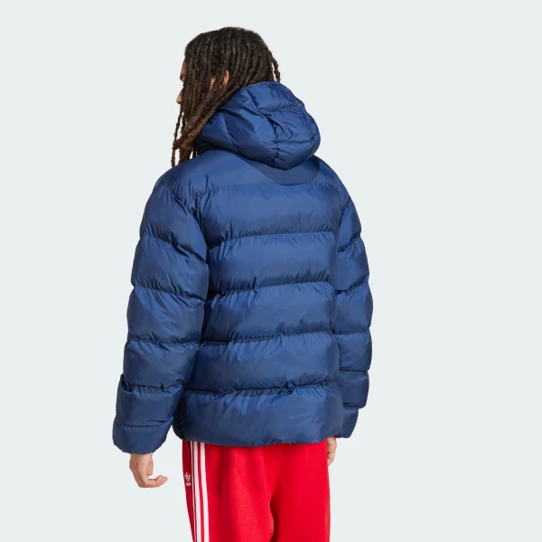 Пуховик Adidas Originals Tonal Hooded IY3397_image_2
